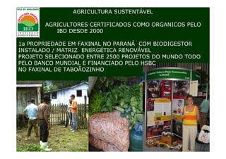 AGRICULTURA SUSTENTÁVEL

       AGRICULTORES CERTIFICADOS COMO ORGANICOS PELO
          IBD DESDE 2000

1a PROPRIEDADE EM FAXINAL NO PARANÁ COM BIODIGESTOR
INSTALADO / MATRIZ ENERGÉTICA RENOVÁVEL
PROJETO SELECIONADO ENTRE 2500 PROJETOS DO MUNDO TODO
PELO BANCO MUNDIAL E FINANCIADO PELO HSBC
NO FAXINAL DE TABOÃOZINHO
 
