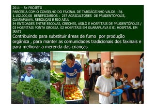 2011 – 5o PROJETO
PARCERIA COM O CONSELHO DO FAXINAL DE TABOÃOZINHO VALOR : R$
1.152.000,00 BENEFICIÁRIOS : 257 AGRICULTORES DE PRUDENTOPOLIS,
GUARAPUAVA, REBOUÇAS E RIO AZUL
54 ENTIDADES ENTRE ESCOLAS, CRECHES, ASILO E HOSPITAIS DE PRUDENTÓPOLIS /
03 HOSPITAIS PONTA GROSSA. 02 HOSPITAIS EM GUARAPUAVA E 01 HOSPITAL EM
IRATI
Contribuindo para substituir áreas de fumo por produção
orgânica , para manter as comunidades tradicionais dos faxinais e
para melhorar a merenda das crianças
 