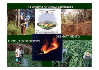 OS MOTIVOS DE NOSSAS ATIVIDADES




                             DESMATAMENTO
FUMO /AGROTOXICOS
 