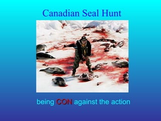 Canadian Seal Hunt being  CON  against the action 