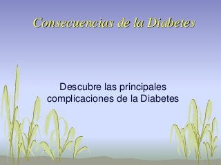 Consecuencias de la Diabetes
Descubre las principales
complicaciones de la Diabetes
 