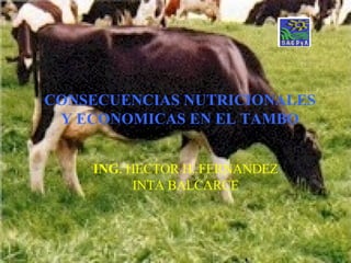 CONSECUENCIAS   NUTRICIONALES Y ECONOMICAS EN EL TAMBO ING . HECTOR H. FERNANDEZ INTA BALCARCE 