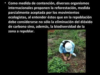 • Como medida de contención, diversos organismos
internacionales proponen la reforestación, medida
parcialmente aceptada por los movimientos
ecologistas, al entender éstos que en la repoblación
debe considerarse no sólo la eliminación del dióxido
de carbono sino, además, la biodiversidad de la
zona a repoblar.
 