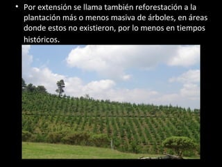 • Por extensión se llama también reforestación a la
plantación más o menos masiva de árboles, en áreas
donde estos no existieron, por lo menos en tiempos
históricos.
 