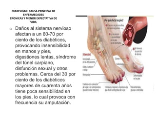 DIABESIDAD: CAUSA PRINCIPAL DE
ENFERMEDADES
CRONICAS Y MENOR EXPECTATIVA DE
VIDA
o Daños al sistema nervioso
afectan a un 60-70 por
ciento de los diabéticos,
provocando insensibilidad
en manos y pies,
digestiones lentas, síndrome
del túnel carpiano,
disfunción sexual y otros
problemas. Cerca del 30 por
ciento de los diabéticos
mayores de cuarenta años
tiene poca sensibilidad en
los pies, lo cual provoca con
frecuencia su amputación.
 