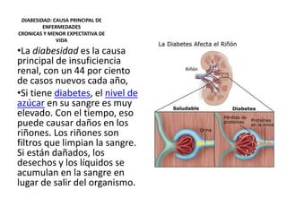 DIABESIDAD: CAUSA PRINCIPAL DE
ENFERMEDADES
CRONICAS Y MENOR EXPECTATIVA DE
VIDA
•La diabesidad es la causa
principal de insuficiencia
renal, con un 44 por ciento
de casos nuevos cada año,
•Si tiene diabetes, el nivel de
azúcar en su sangre es muy
elevado. Con el tiempo, eso
puede causar daños en los
riñones. Los riñones son
filtros que limpian la sangre.
Si están dañados, los
desechos y los líquidos se
acumulan en la sangre en
lugar de salir del organismo.
 
