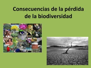 Consecuencias de la pérdida
de la biodiversidad
 