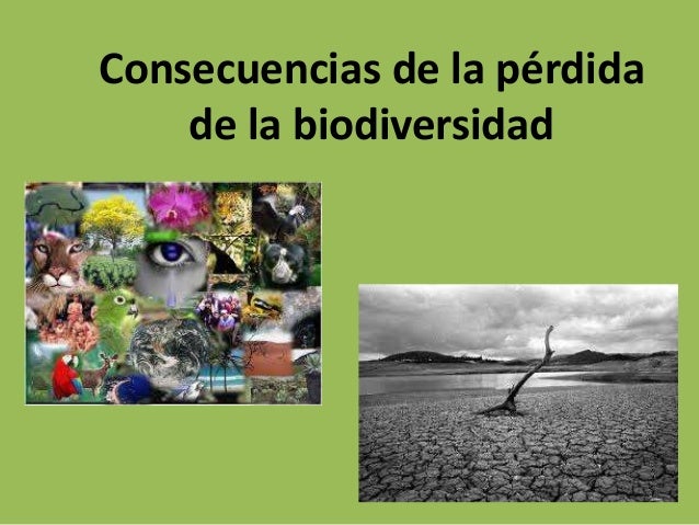 Consecuencias de la perdida de la biodiversidad
