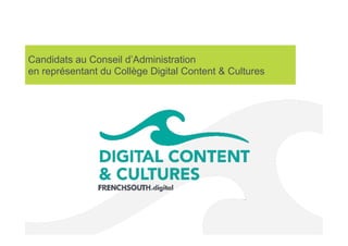 Candidats au Conseil d’Administration
en représentant du Collège Digital Content & Cultures
 