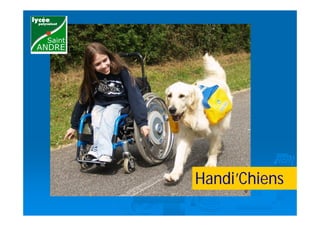 Handi’Chiens
 