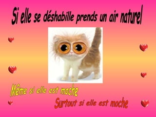 Si elle se déshabille prends un air naturel Même si elle est moche Surtout si elle est moche 