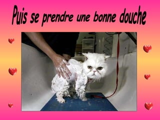 Puis se prendre une bonne douche 