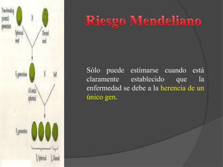 Sólo puede estimarse cuando está
claramente establecido que la
enfermedad se debe a la herencia de un
único gen.
 