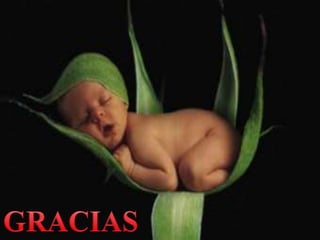 Consejería genética