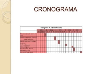 CRONOGRAMA
 