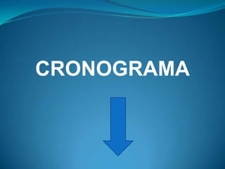 CRONOGRAMA
 