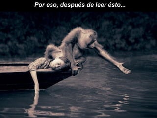 Por eso, después de leer ésto...  