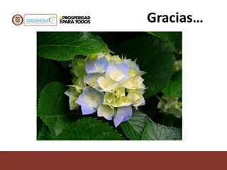 Gracias…
 