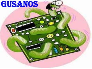 gusanos