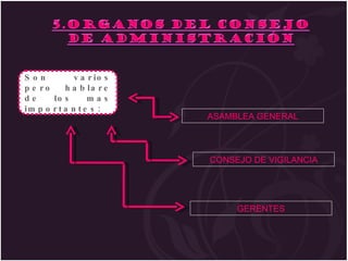ASAMBLEA GENERAL CONSEJO DE VIGILANCIA GERENTES Son varios pero hablare de los mas importantes: 