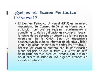 Consejo De Derechos Humanos Presentacion Mayrena Norberto
