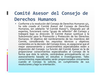 Consejo De Derechos Humanos Presentacion Mayrena Norberto