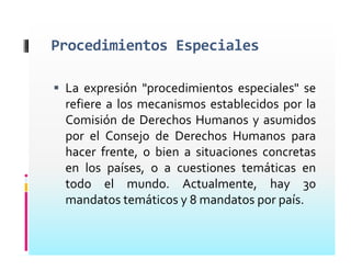 Consejo De Derechos Humanos Presentacion Mayrena Norberto