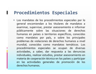 Consejo De Derechos Humanos Presentacion Mayrena Norberto