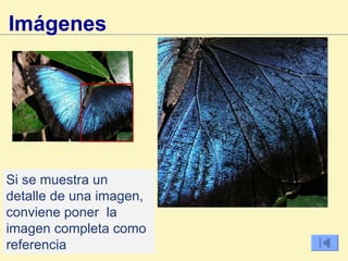 Imágenes   Si se muestra un detalle de una imagen, conviene poner  la imagen completa como referencia 