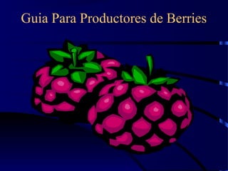 Guia Para Productores de Berries

 