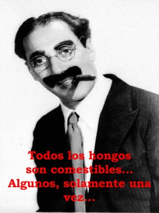 Todos los hongos son comestibles… Algunos, solamente una vez.. . 