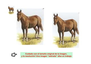 Cuidado con el tamaño original de la imagen,
y la resolución! Una imagen “estirada” afea un trabajo
 