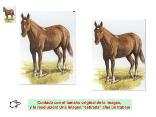 Cuidado con el tamaño original de la imagen,  y la resolución! Una imagen “estirada” afea un trabajo 