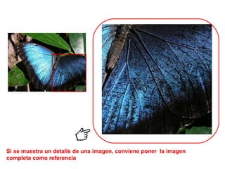 Si se muestra un detalle de una imagen, conviene poner  la imagen completa como referencia 