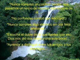 *Nunca compres un colchón barato: nos pasamos un tercio de nuestra vida encima de él.... *No confundas confort con felicidad... *Nunca compres algo eléctrico en una feria artesanal... *Escucha el doble de lo que hablas (por eso Dios nos dió dos oídos y una sola boca)... *Aprende a distinguir entre tus amigos y tus enemigos... 