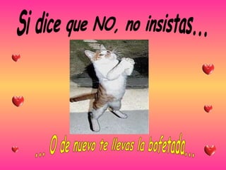 Si dice que NO, no insistas... ... O de nuevo te llevas la bofetada... 