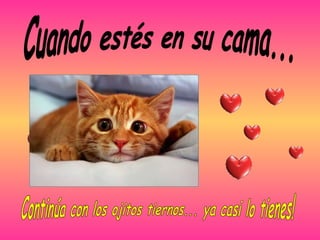 Cuando estés en su cama... Continúa con los ojitos tiernos... ya casi lo tienes! 