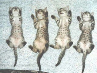 Et pense aux préservatifs Sinon 