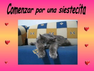 Comenzar por una siestecita 