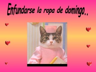 Enfundarse la ropa de domingo.. 