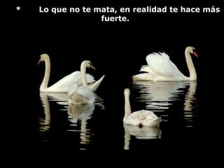 *   Lo que no te mata, en realidad te hace más
                  fuerte.
 