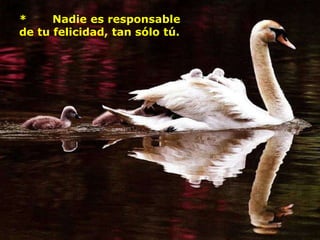 *     Nadie es responsable
de tu felicidad, tan sólo tú.
 