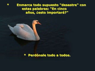 *   Enmarca todo supuesto "desastre" con
      estas palabras: "En cinco
        años, ¿esto importará?"




       * Perdónale todo a todos.
 