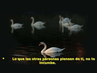 *   Lo que las otras personas piensen de ti, no te
                   incumbe.
 