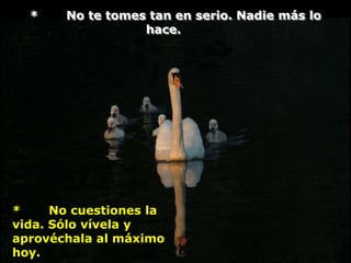 *    No te tomes tan en serio. Nadie más lo
                  hace.




*     No cuestiones la
vida. Sólo vívela y
aprovéchala al máximo
hoy.
 