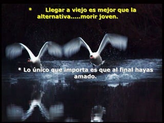 *      Llegar a viejo es mejor que la
       alternativa.....morir joven.




* Lo único que importa es que al final hayas
                  amado.
 
