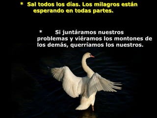 * Sal todos los días. Los milagros están
    esperando en todas partes.



      *    Si juntáramos nuestros
     problemas y viéramos los montones de
     los demás, querríamos los nuestros.
 
