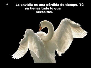 *   La envidia es una pérdida de tiempo. Tú
         ya tienes todo lo que
                necesitas.
 