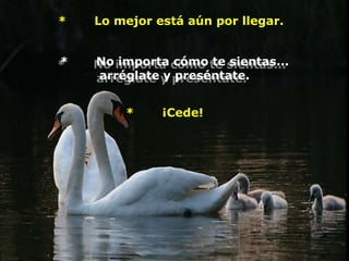 *   Lo mejor está aún por llegar.


*   No importa cómo te sientas...
    arréglate y preséntate.


        *     ¡Cede!
 