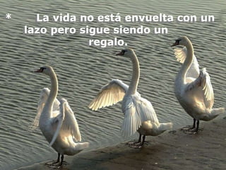 *     La vida no está envuelta con un
    lazo pero sigue siendo un
                regalo.
 